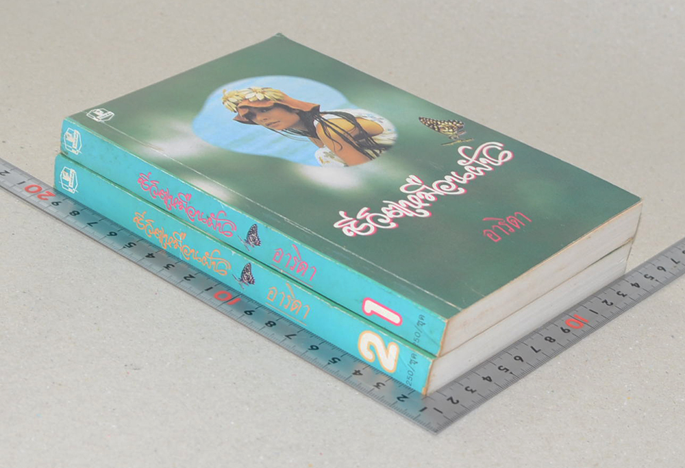 ชีวิตเหมือนฝัน (2 เล่มจบ)