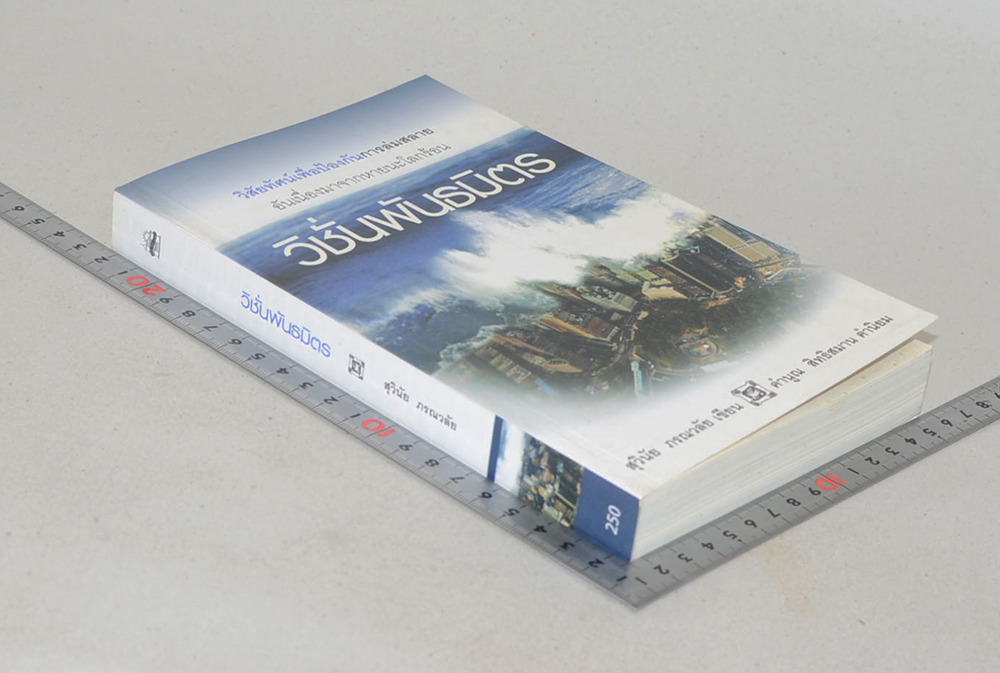 วิชั่นพันธมิตร