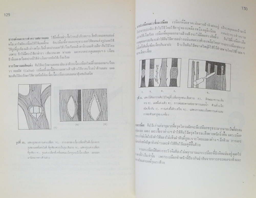 พระราชหัตถเลขาสมเด็จพระปิยมหาราช พระราชทาน เจ้าพระยาวรพงศพิพัฒน์ (พ.ศ.2438-พ.ศ.2453)