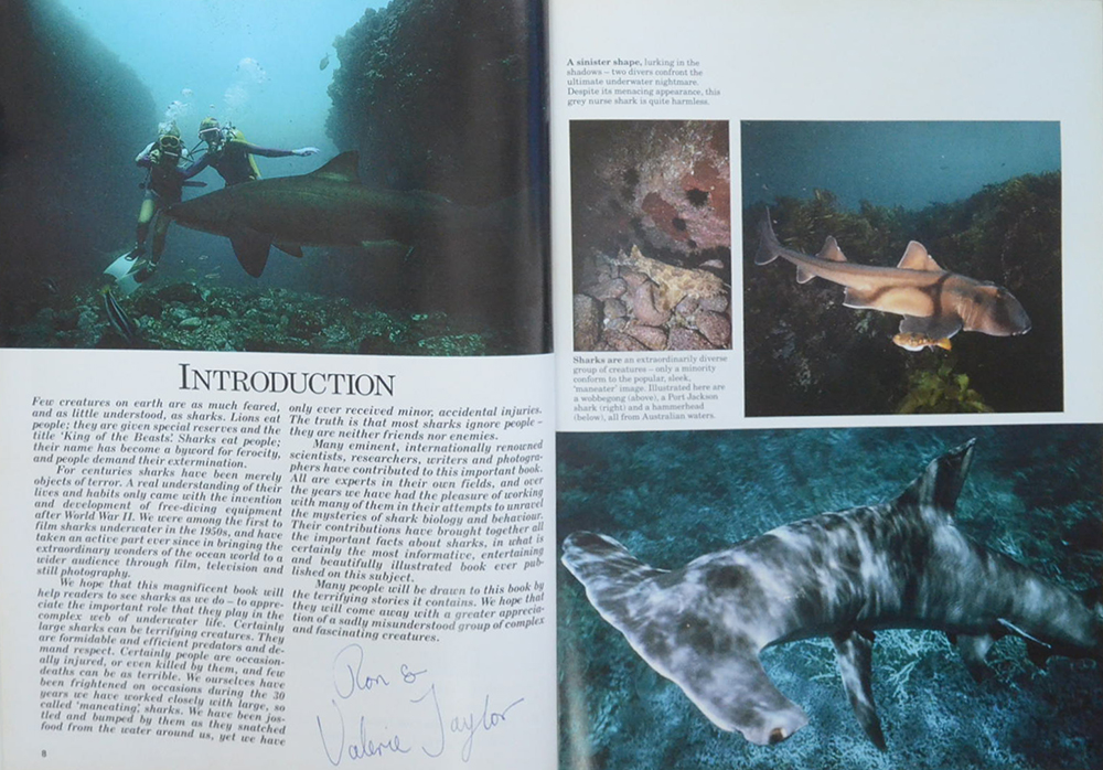 SHARKS Silent hunters of the deep