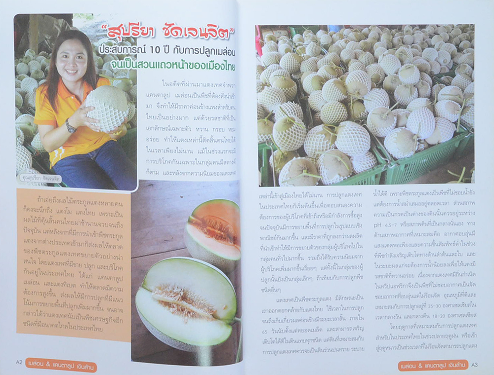 เมล่อน & แคนตาลูบ