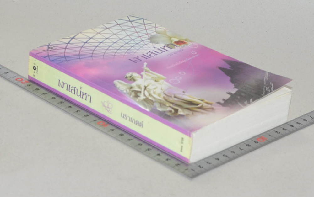 เงาเสน่หา