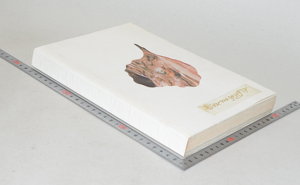 พระอาจารย์จวน กุลเชฏฺโฐ (ขายตามสภาพ)