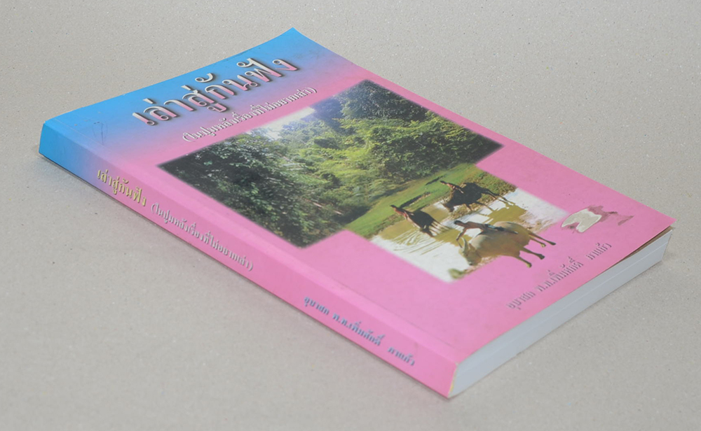 เล่าสู่กันฟัง (ในปูมหลังเรื่องที่ไม่อยากเล่า)