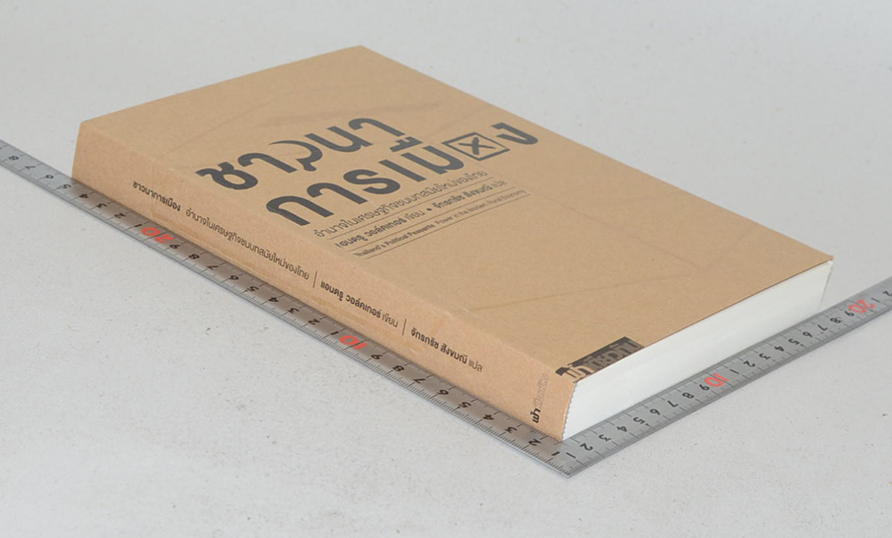 ชาวนาการเมือง อำนาจในเศรษฐกิจชนบทสมัยใหม่ของไทย