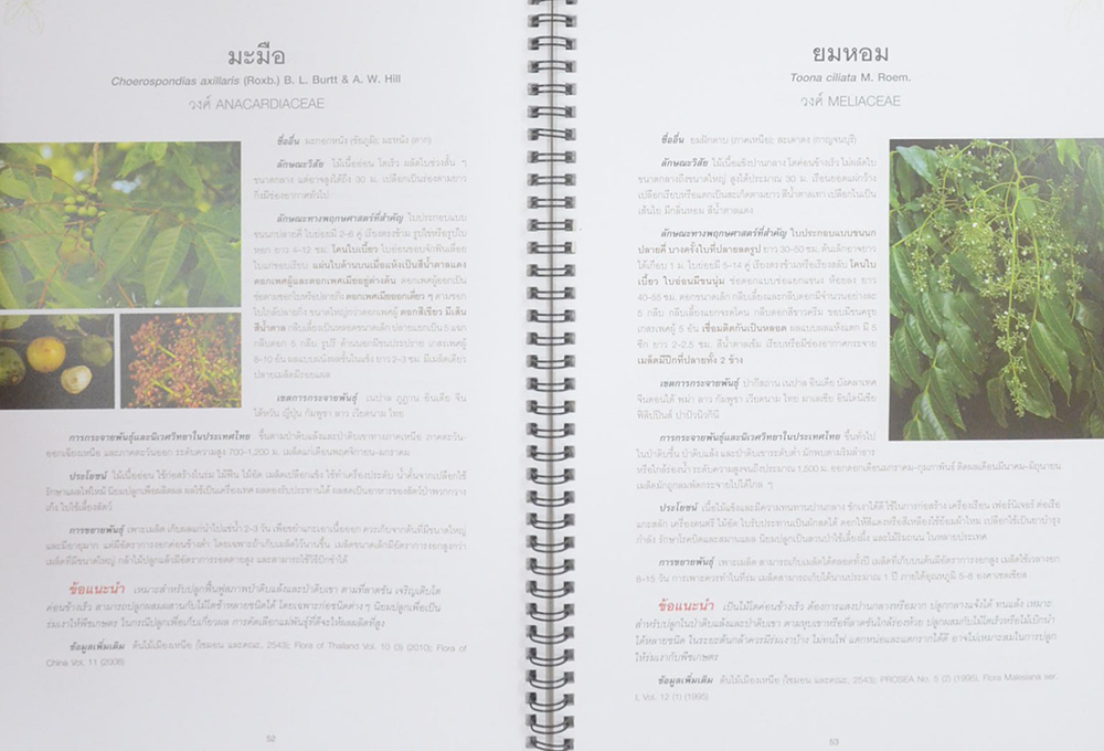 คู่มือเลือกชนิดพรรณไม้เพื่อปลูกป่าป้องกันอุทกภัย