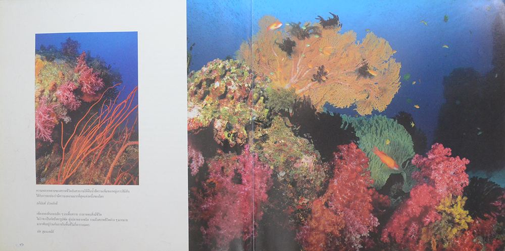 อันดามันและอ่าวไทย (ขายตามสภาพ)