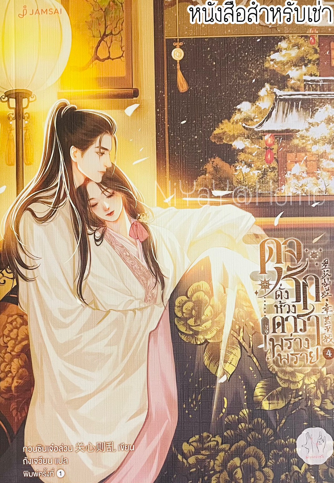 ดุจรักดั่งห้วงดาราพร่างพราย 4