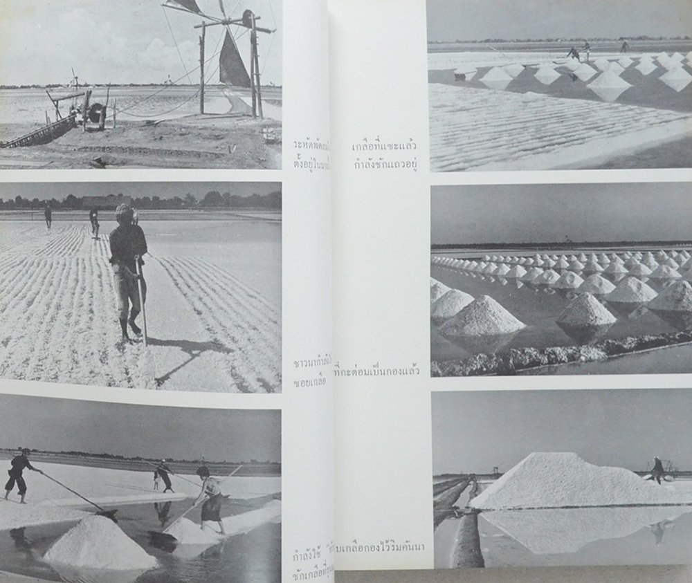 นางสมุทมณีรัตน์ (การทำเกลือจากน้ำทะเล-ศาสนาเปรียบเทียบ)