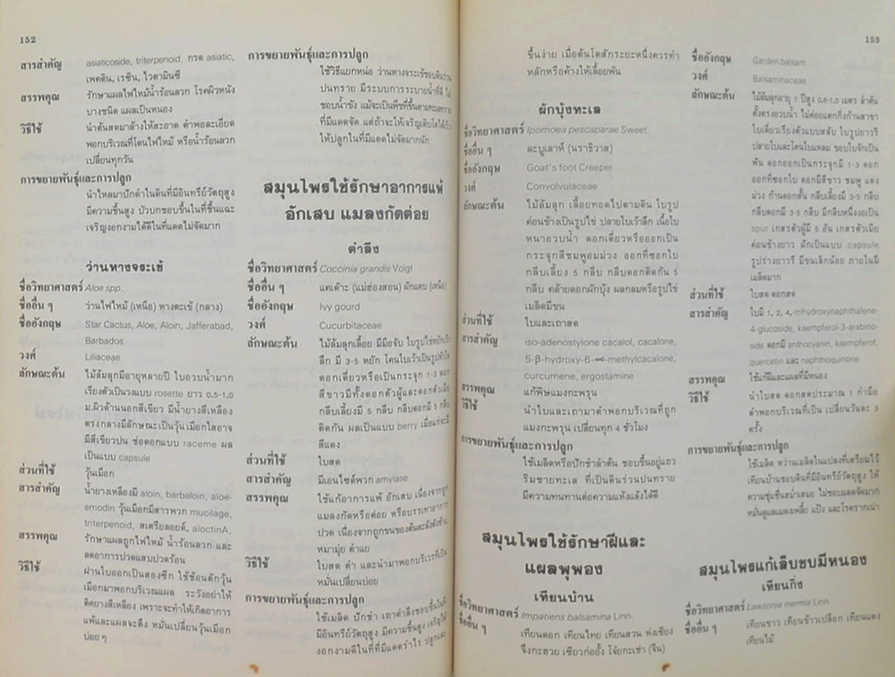 วันต้นไม้ประจำปีแห่งชาติ 2530