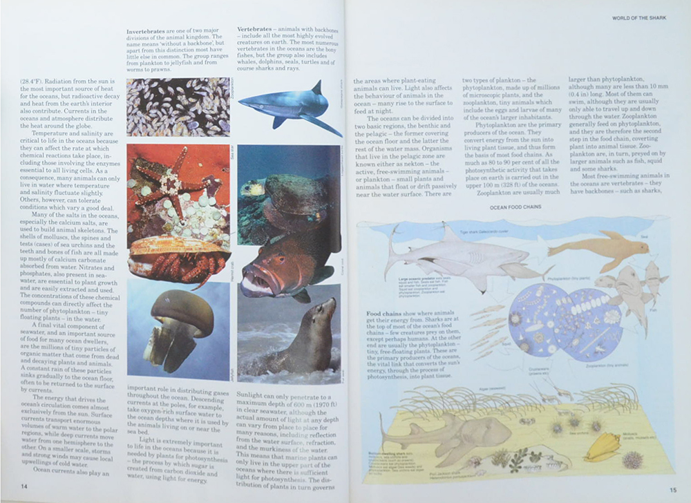 SHARKS Silent hunters of the deep