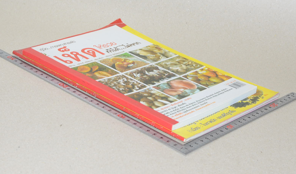 รวมเรื่อง (2 เล่ม)