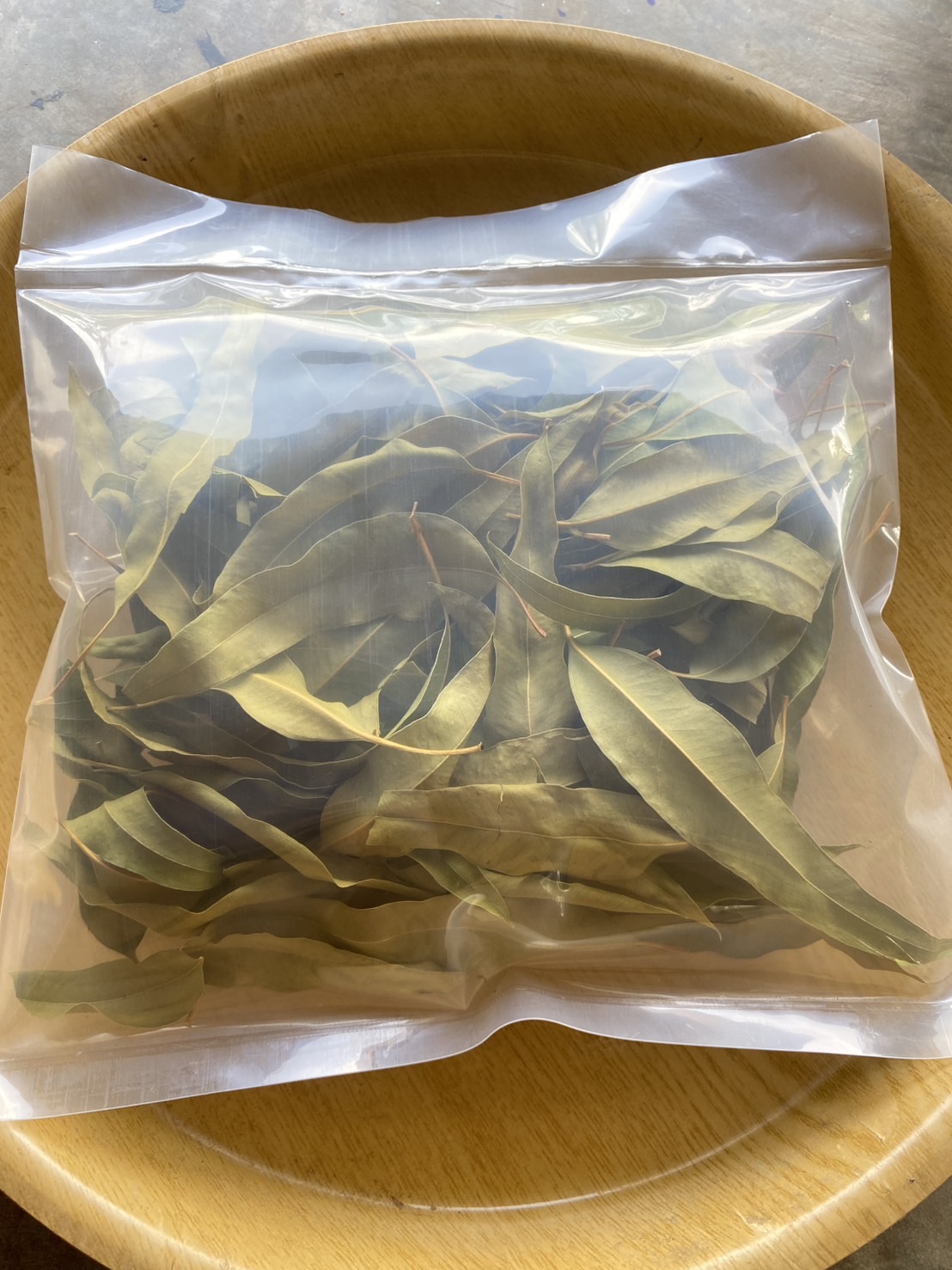 ใบยูคาลิปตัสอบแห้ง Eucalyptus