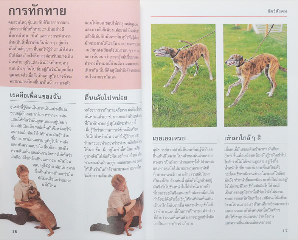 รู้ไหมหมาคิดอะไรอยู่?