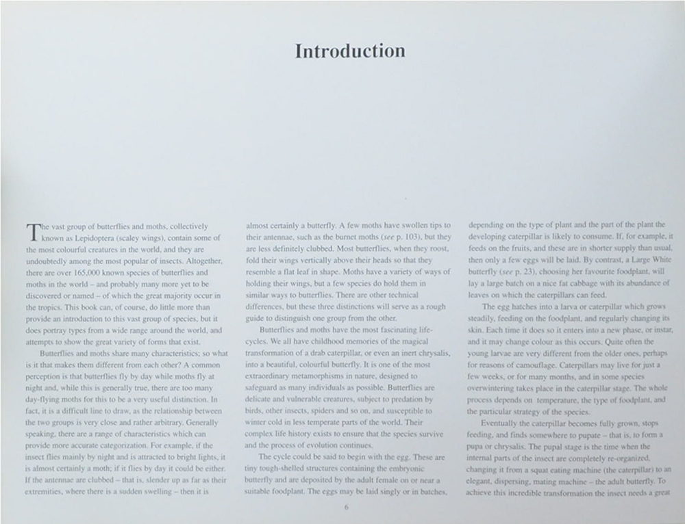 The Fascinating World of Butterflies & Moths