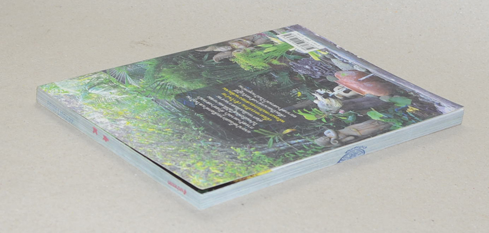 สวนน้ำในบ้าน (ขายตามสภาพ)