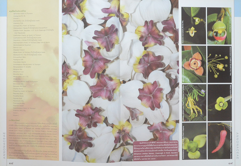 84 วงศ์พรรณไม้ เทิดไท้องค์ราชัน
