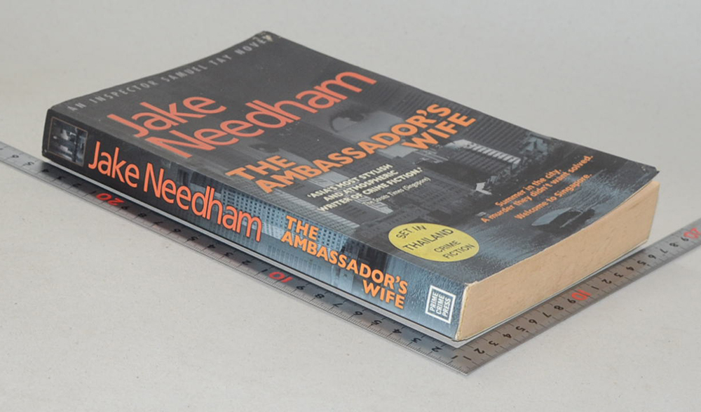 THE AMBASSADOR’S WIFE