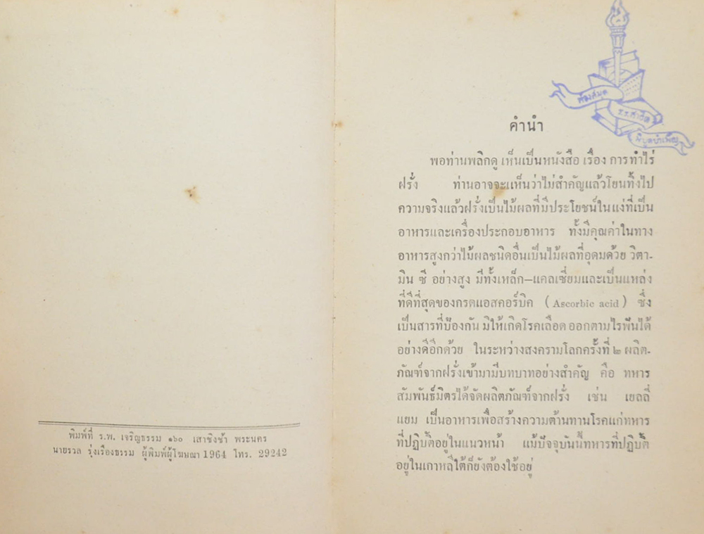การทำไร่ฝรั่ง (ขายตามสภาพ)