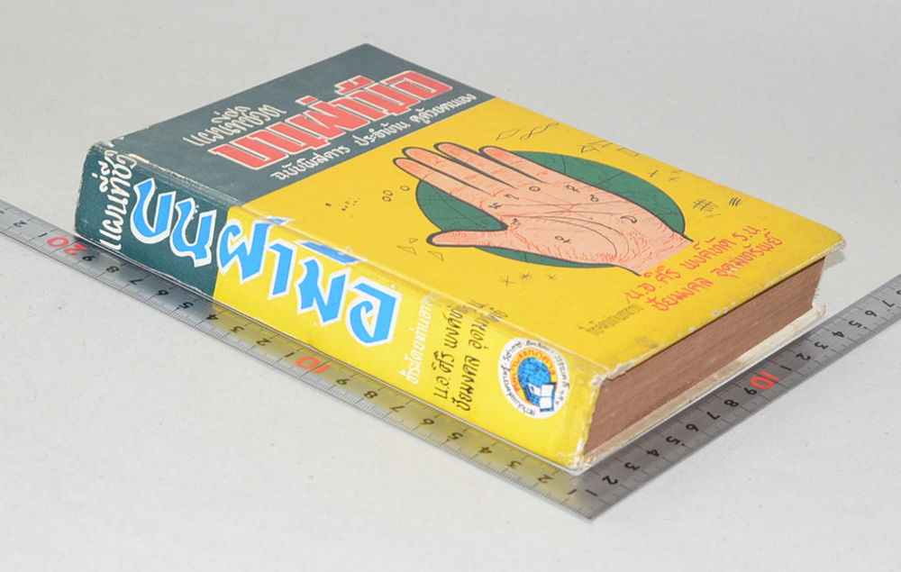 แผนที่ชีวิตบนฝ่ามือ (เล่ม 2 ภาคจบ)