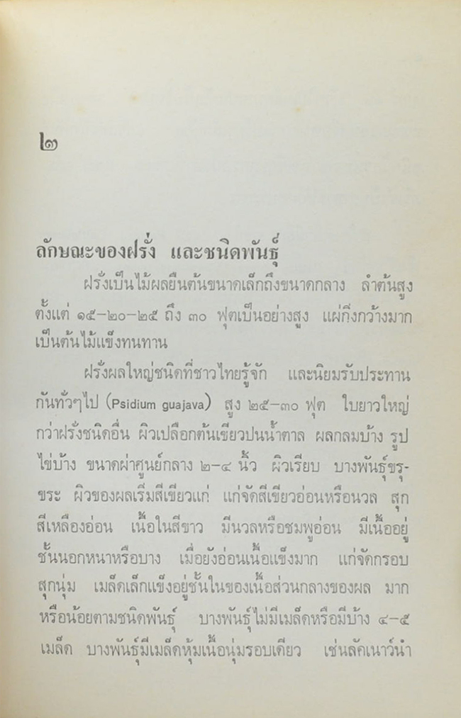 การทำไร่ฝรั่ง