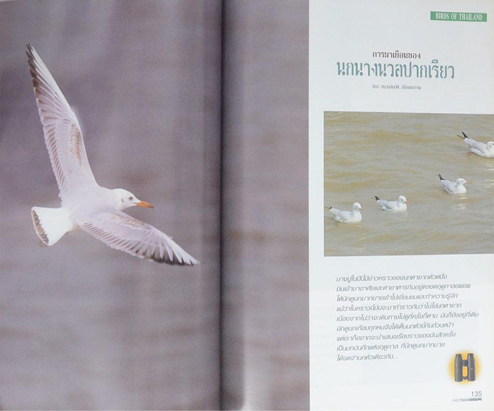 ADVANCED THAILAND GEOGRAPHIC ปีที่ 7 ฉบับที่ 51 กุมภาพันธ์-มีนาคม 2545