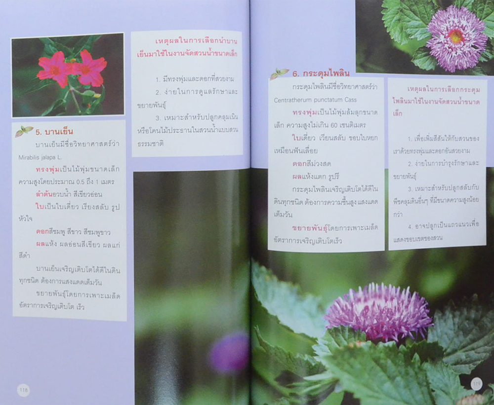 สวนน้ำในบ้าน (ขายตามสภาพ)