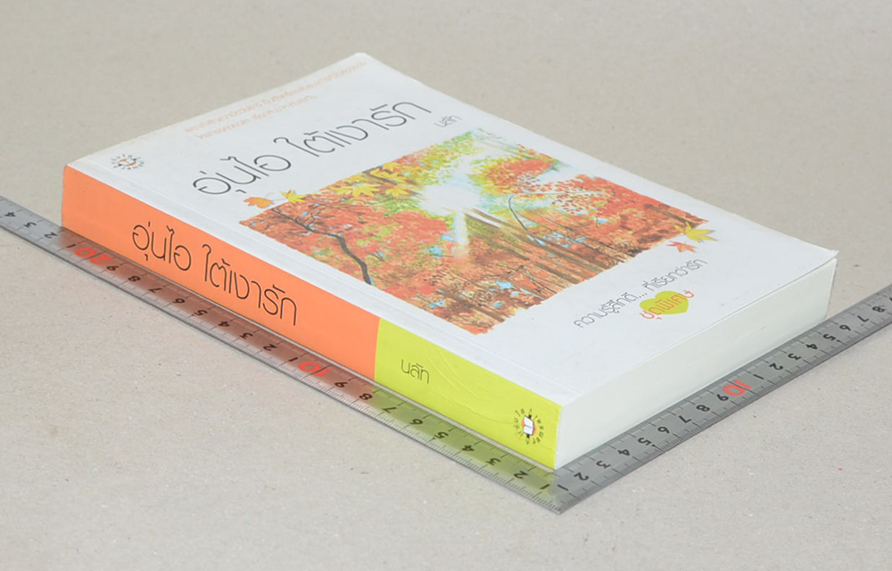 อุ่นไอ ใต้เงารัก