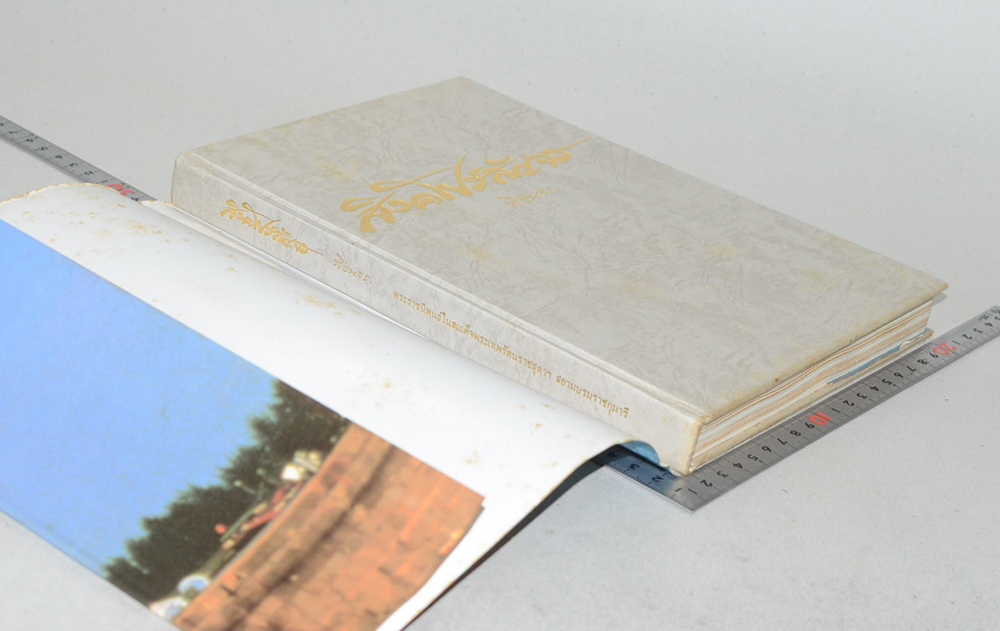 สิงคโปร์สัญจร