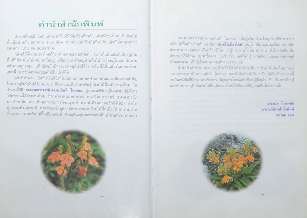 กล้วยไม้เมืองไทย (ขายตามสภาพ)