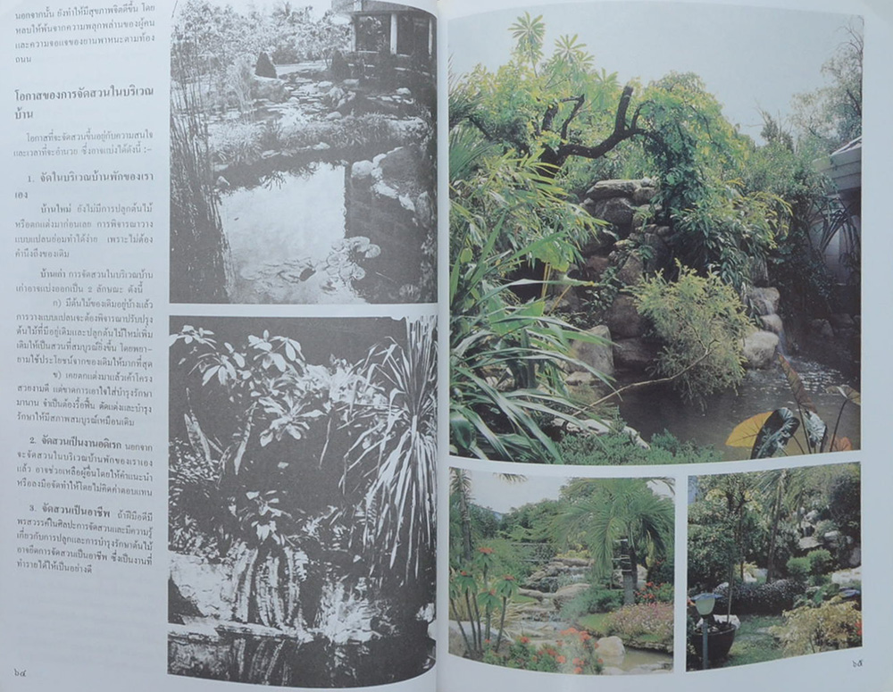 สุรนุช กานตรัตน์ (เรื่องการจัดสวนในบ้าน)