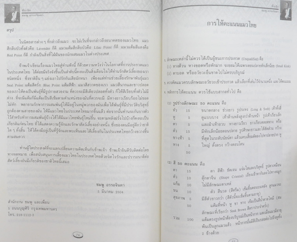 นายชมพู อรรถจินดา (เรื่องของแมวไทย)