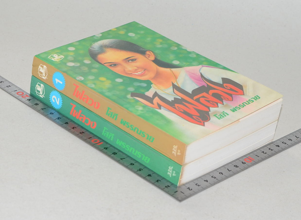 ไฟลวง (2 เล่มจบ)