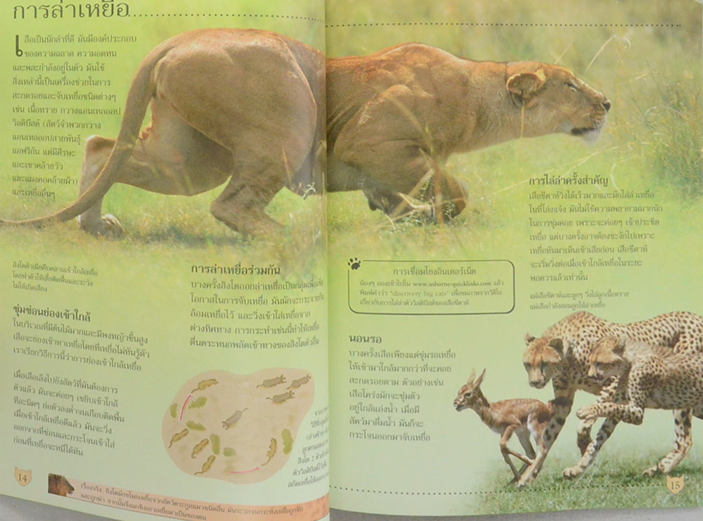 โลกของเสือ (ขายตามสภาพ)