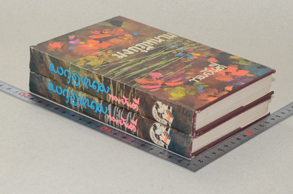 มงกุฎหนาม (2 เล่มจบ)