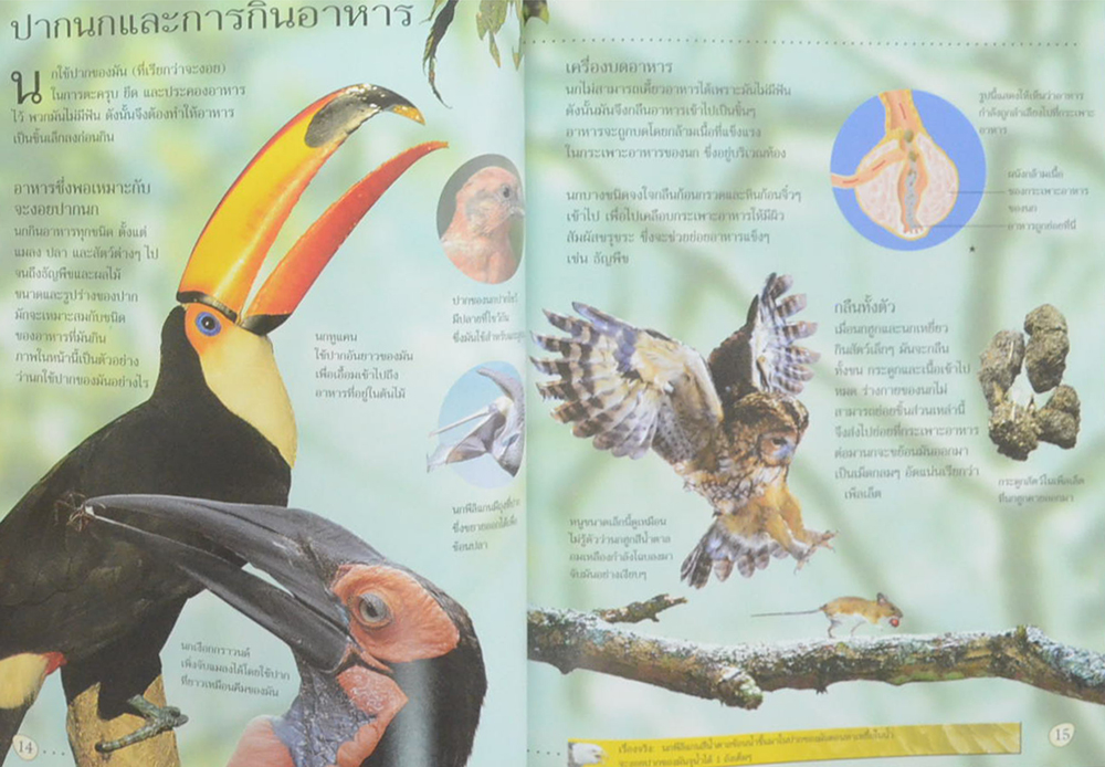 โลกของนก (ขายตามสภาพ)