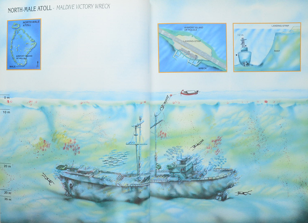 MALDIVES DIVING GUIDE