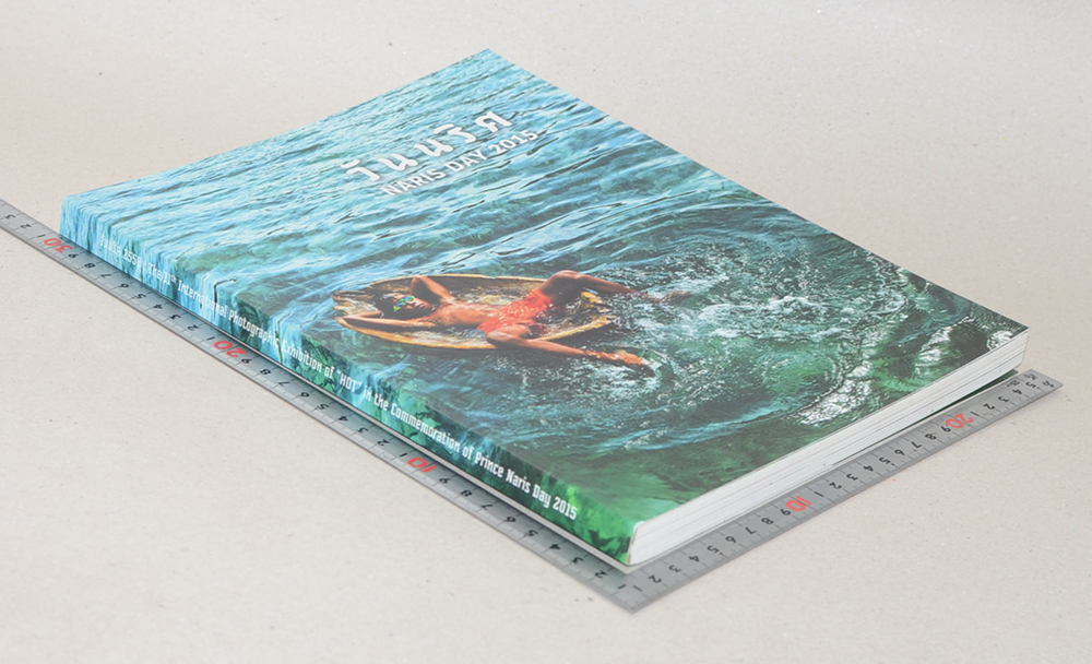 วันนริศ NARIS DAY 2015