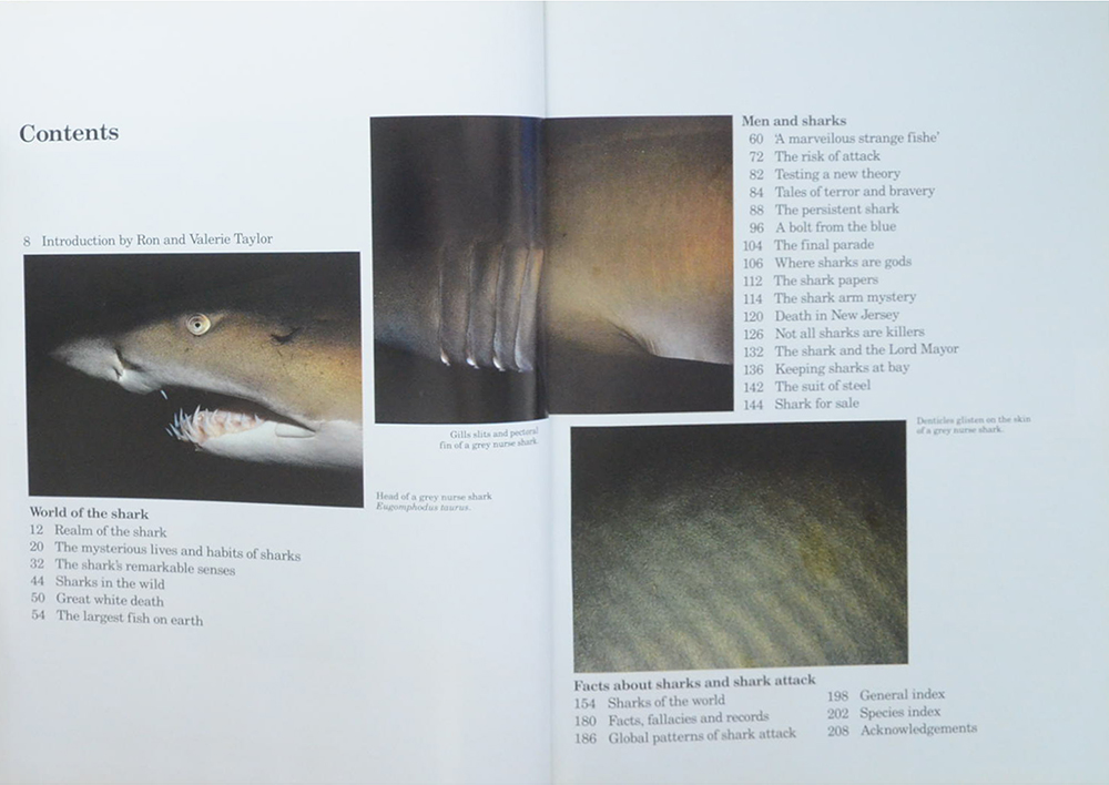 SHARKS Silent hunters of the deep