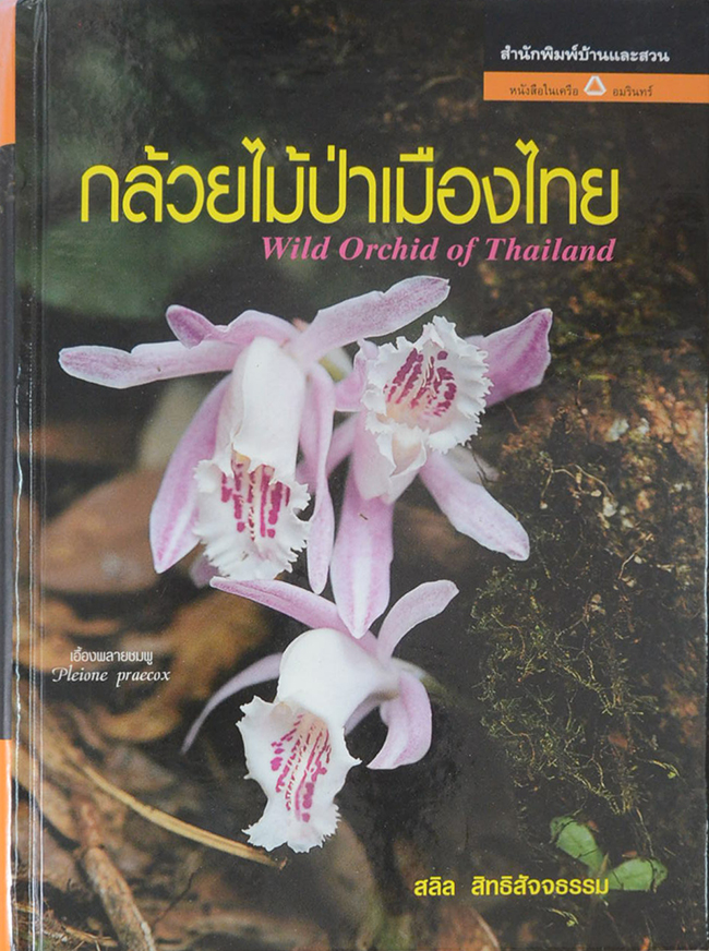 กล้วยไม้ป่าเมืองไทย