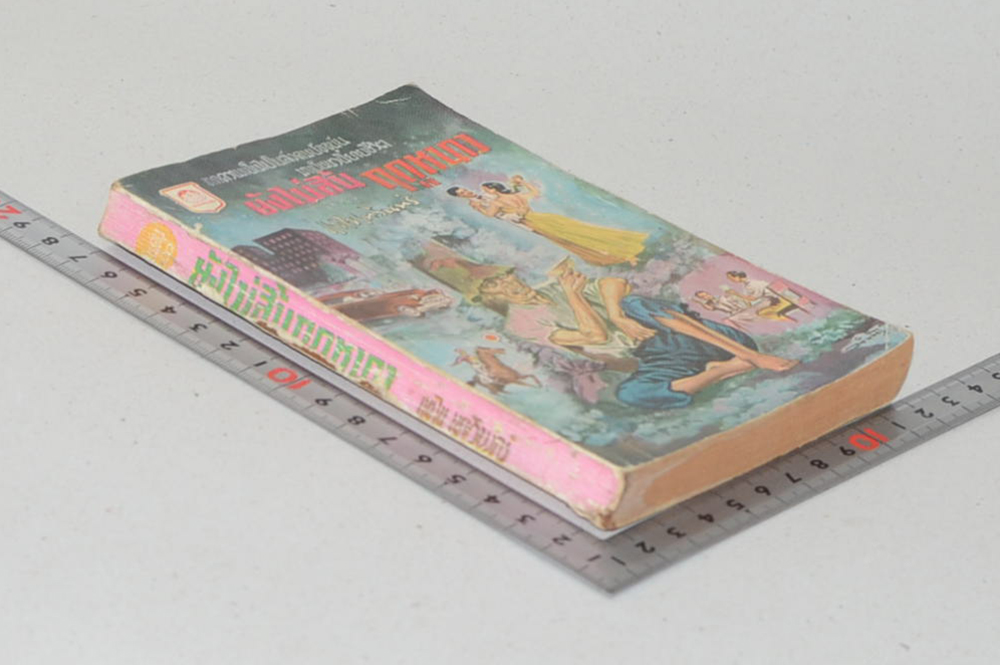 ยังไม่สิ้นฤดูหนาว (เล่มเดียวจบ / เล่มเล็ก)