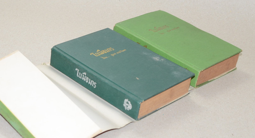 ในมือมาร (2 เล่มจบ)