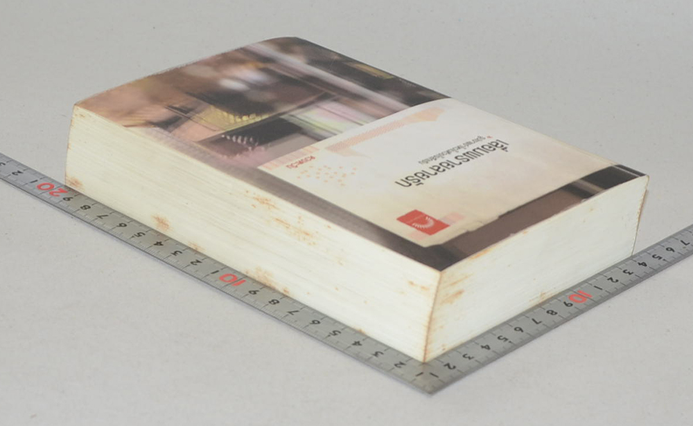 เลื่อมพรายลายรัก