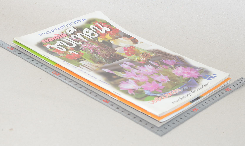 รวมเรื่อง (2 เล่ม)