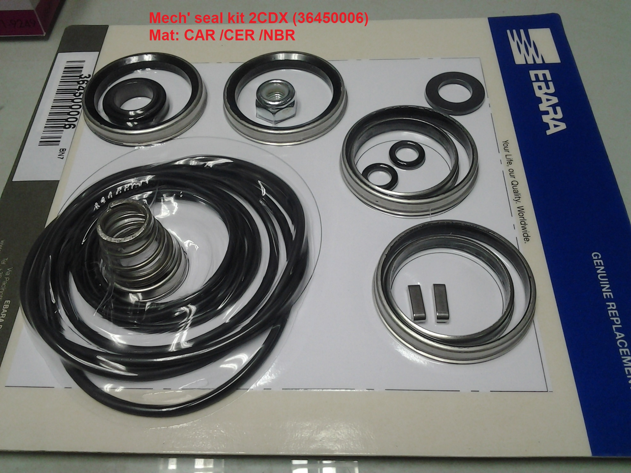 EBARA PUMP Type 2CDX/I 200/40 IE3 Mechanical Seal