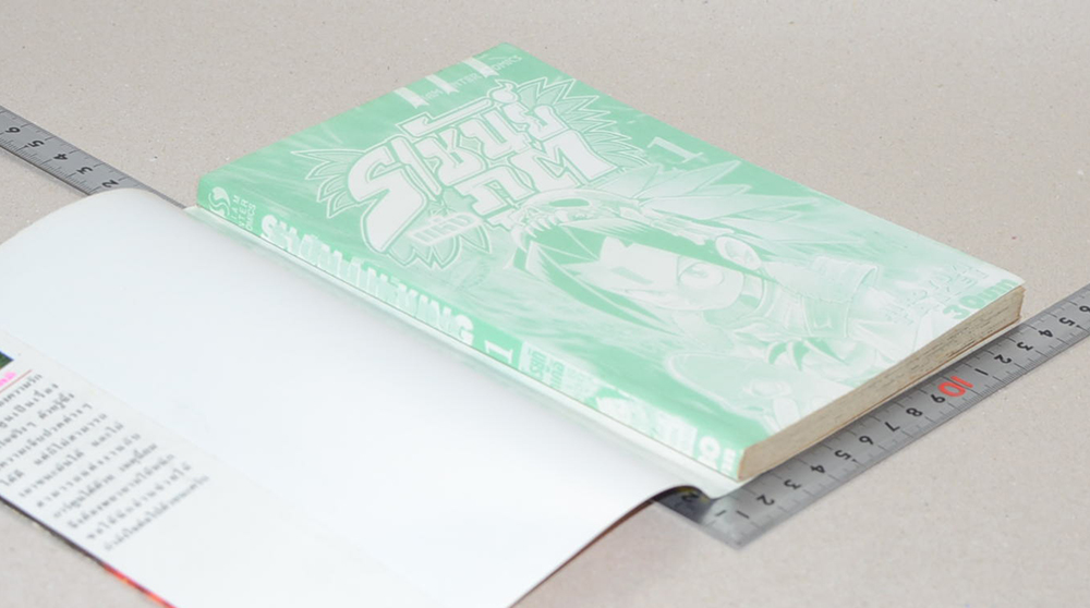 ราชันย์แห่งภูต (28 เล่ม / ไม่จบ)