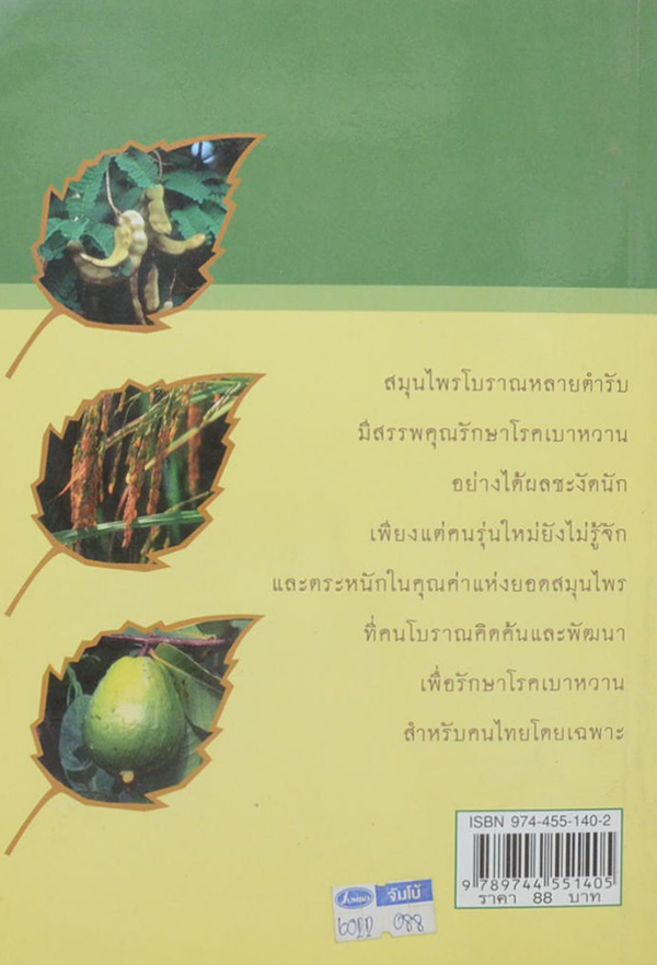 สมุนไพรรักษาเบาหวาน สูตรโบราณขนานเอก