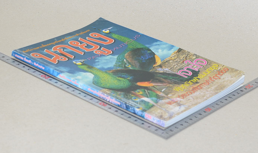 นกยูง (ขายตามสภาพ)