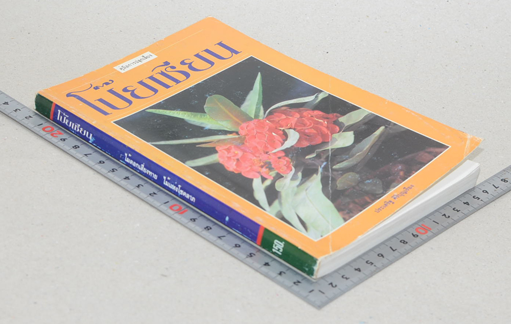 โป๊ยเซียน