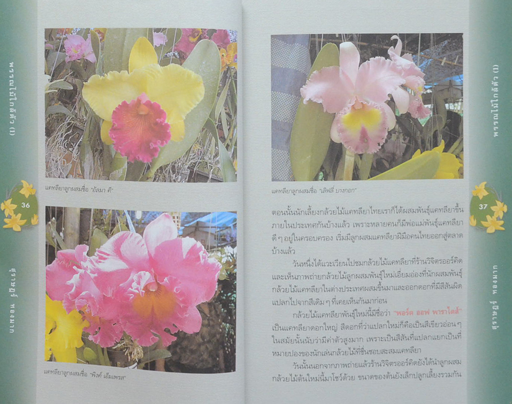 พรรณไม้ใกล้ตัว (ขายตามสภาพ)